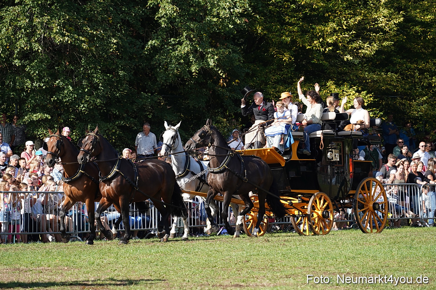 Pferde und Fohlenschau 2022 0111 